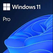 Microsoft - MICROSOFT WINDOWS 11 PRO - ESD FQC-10572