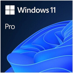 Microsoft - MS WINDOWS 11 PRO 64BIT TR OEM FQC-10556